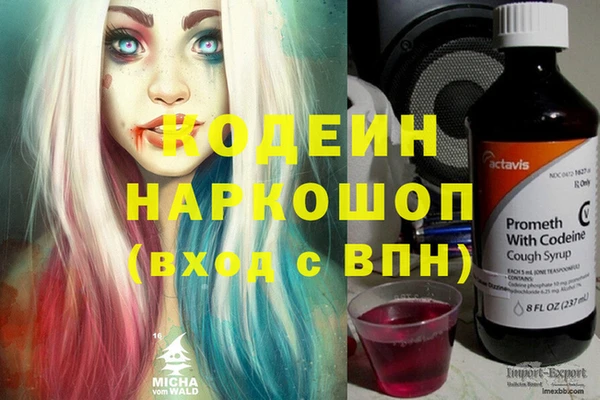 дурь Алзамай