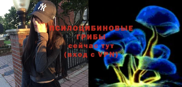 дурь Алзамай